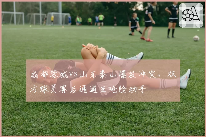 成都蓉城vs山东泰山爆发冲突，双方球员赛后通道互呛险动手