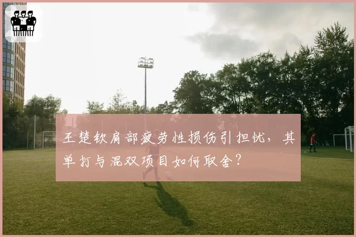 王楚钦肩部疲劳性损伤引担忧，其单打与混双项目如何取舍？